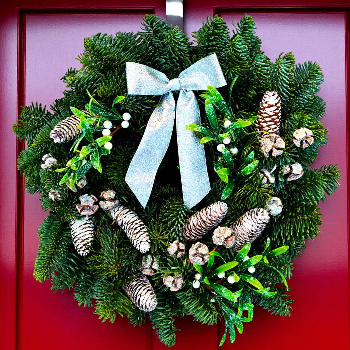 Mistletoe Kisses Christmas Wreath A festive 10-inch Christmas wreath made with fresh evergreen foliage, frosted pinecones, sprigs of mistletoe with white berries, and a shimmering silver ribbon bow, hanging on a deep red front door. 1