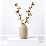 Natural Dried Cotton Stems  1
