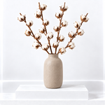 Natural Dried Cotton Stems  3
