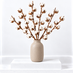 Natural Dried Cotton Stems  5