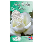 New Baby Rose Bush Gift Wrapped New Baby Rose Bush Gift Wrapped image2 2