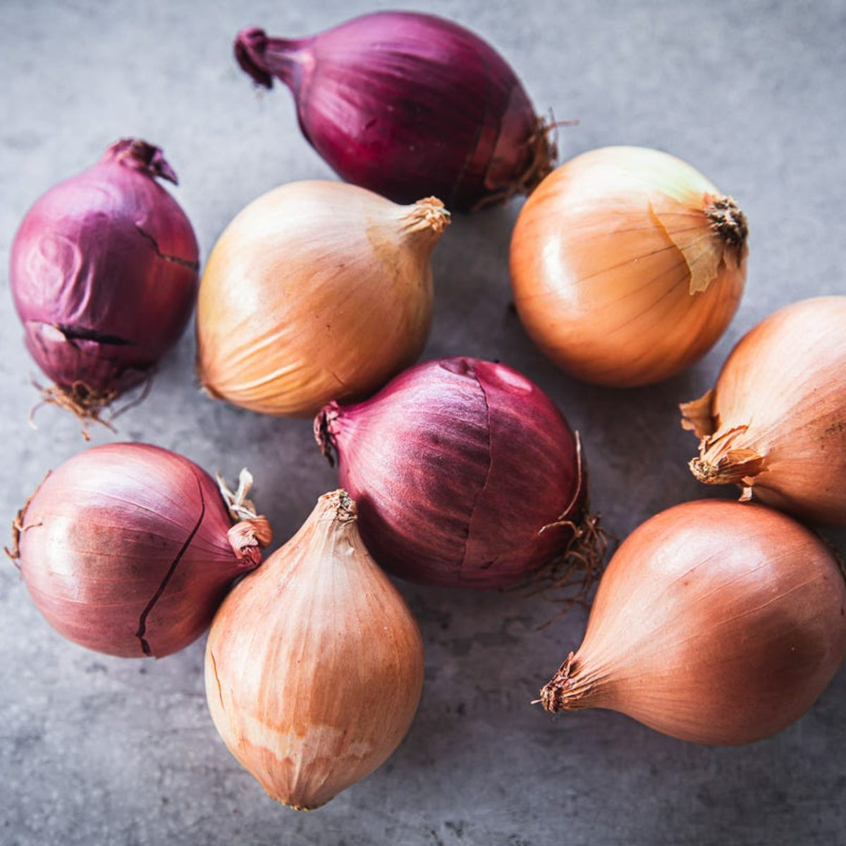 Winter Onion Set Mix