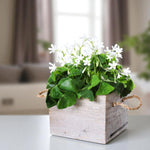 Oxalis False Shamrock Oxalis false shamrock with lush green leaves and white flowers, planted in a rustic wooden container with rope handles. 4
