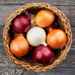 Mixed Varieties Onion Planting Sets  1