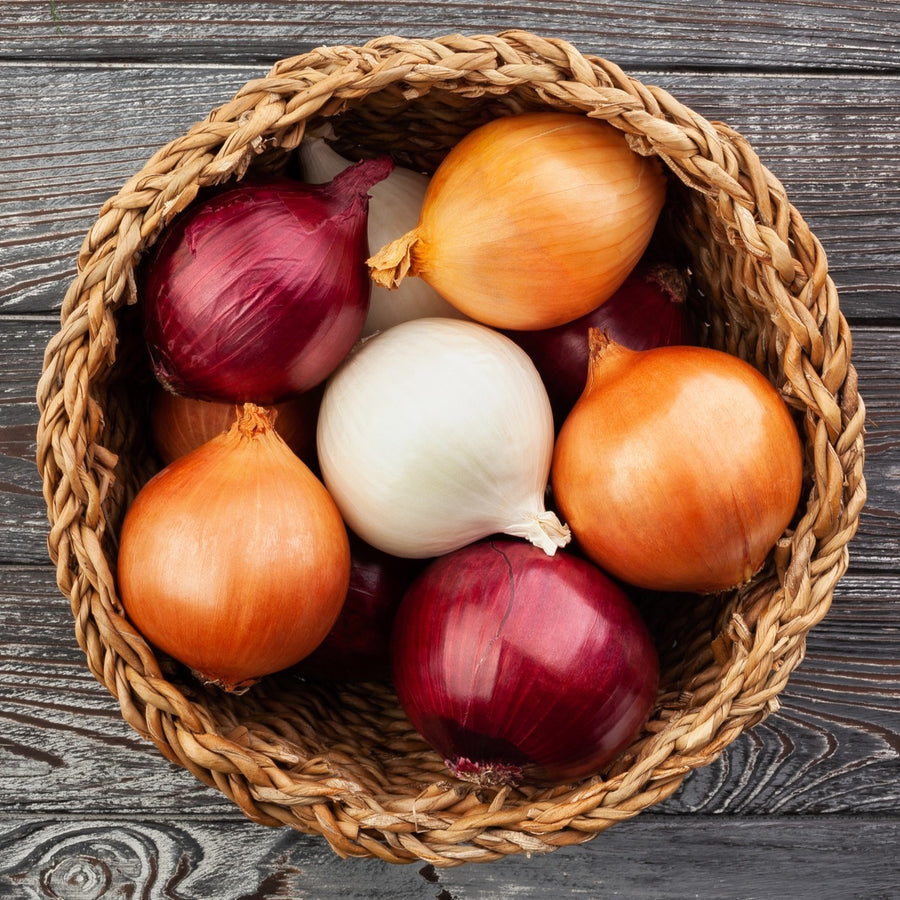 Mixed Varieties Onion Planting Sets  1