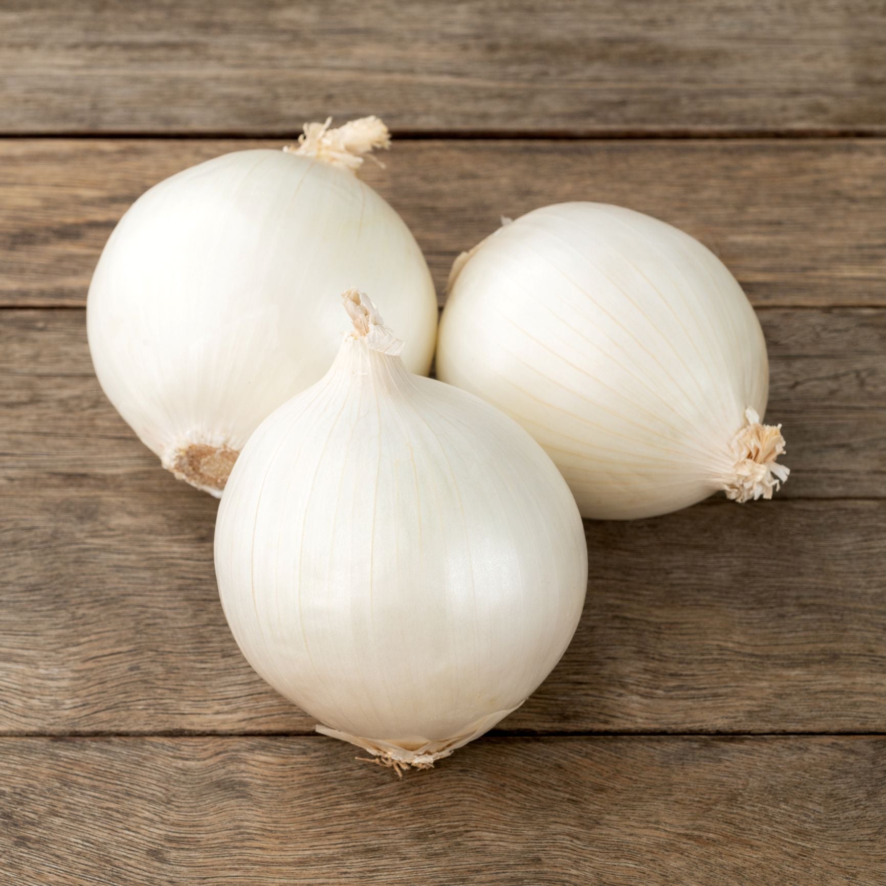 Onion Sets Snowball