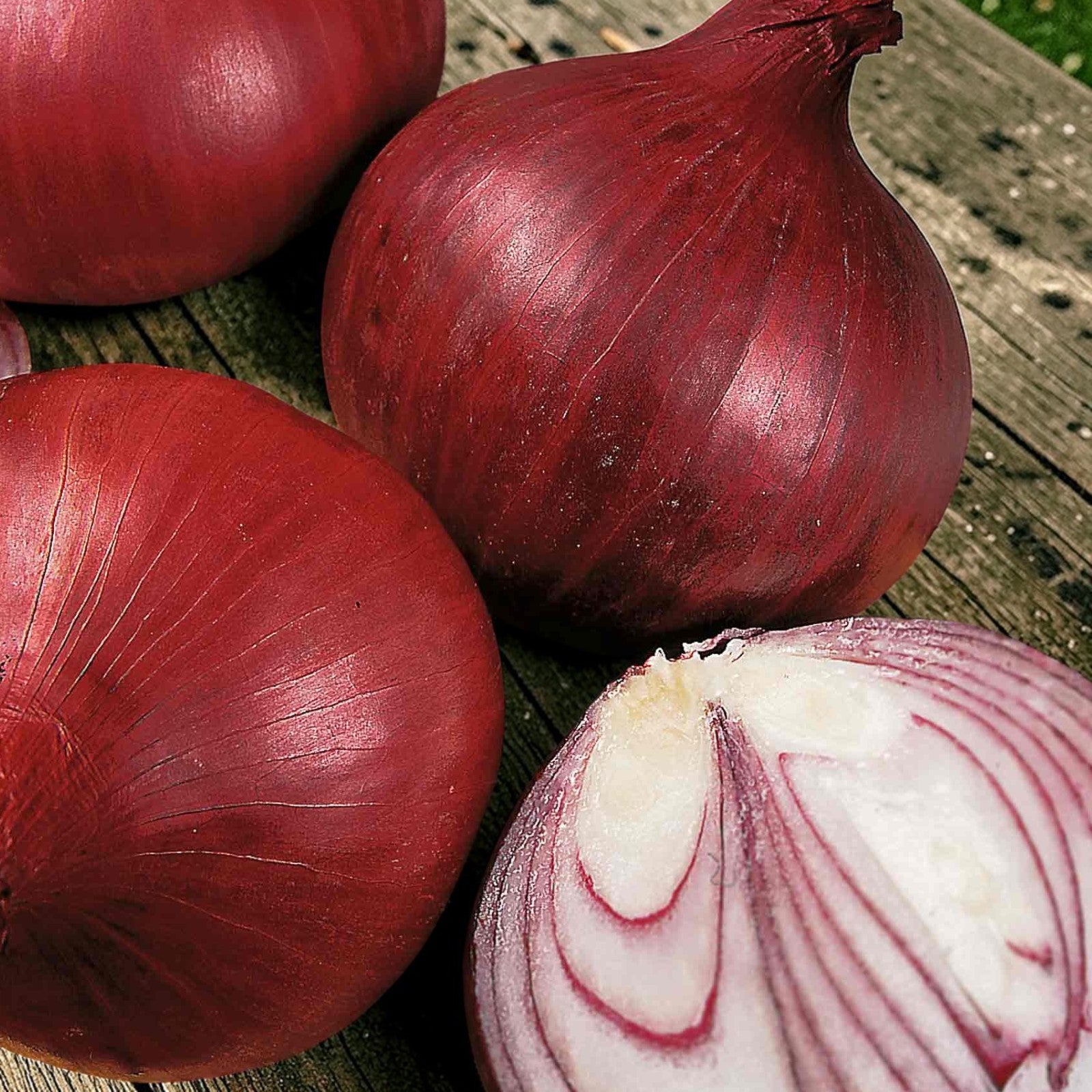 Onion Barron