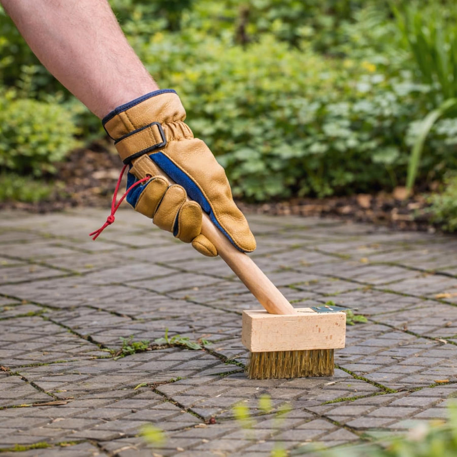 Patio Weed Brush  2