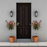 Photinia Magical Volcano Patio Tree in 7L Pot  3