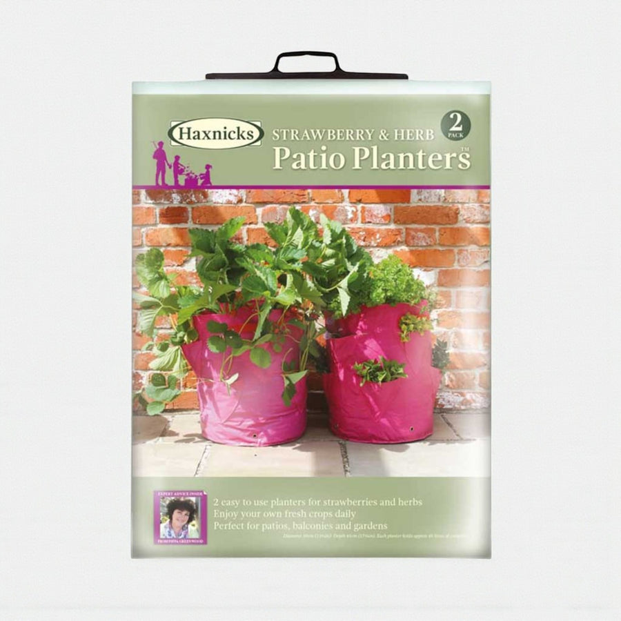Fruit & Herb Patio Planter  3