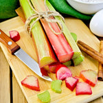Prince Albert Rhubarb Bare Root Crown  4