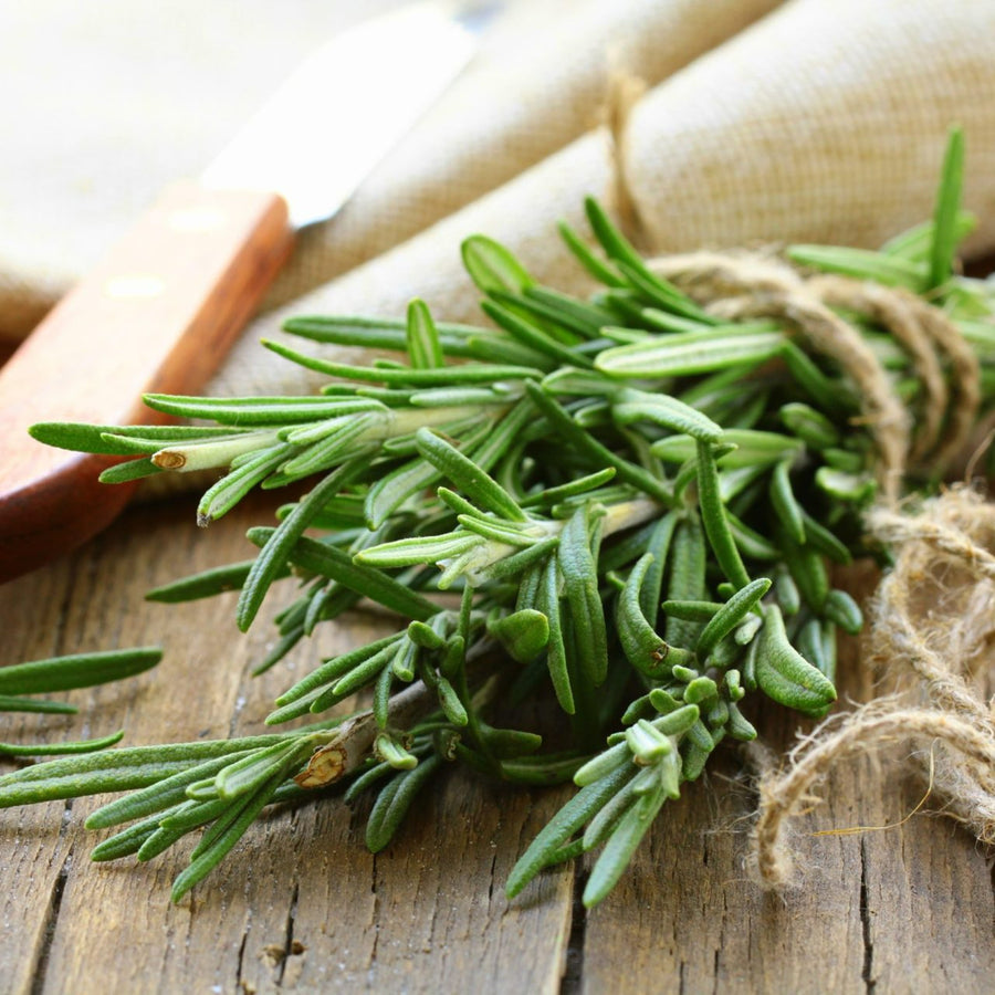 Rosemary Barbeque Plant  3