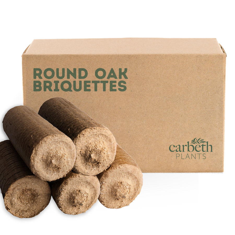 Round Oak Briquettes RUNDOAKBRIQ-10-round oak briquettes fire wood supplies 1