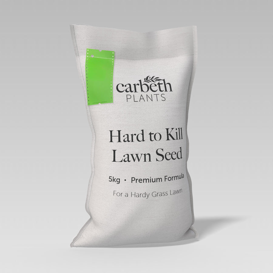 Hard To Kill Grass & Lawn Seed Bag of carbeth Plants Hard to Kill Lawn Seed on a gray background 1