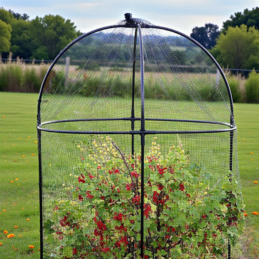 Steel Round Fruit Cage  3