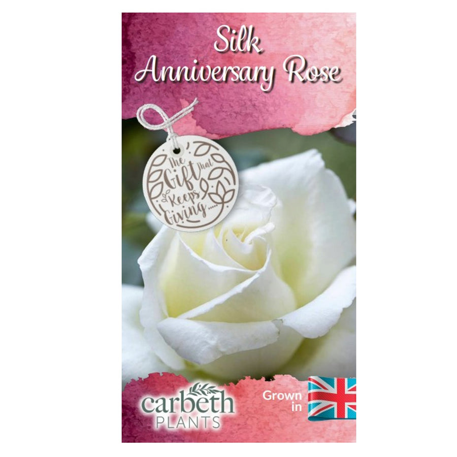 Silk 12th Wedding Anniversary Rose Bush Gift Wrapped  3