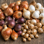 Spring Spectacular 100 Bulb Mix  3