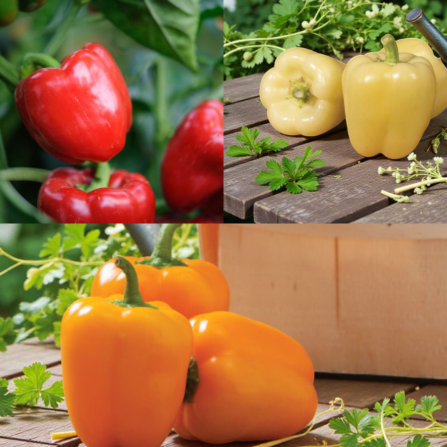 Bell Pepper Mix  1