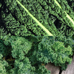 Kale Mix Collection  1