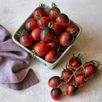 Mixed Tomato Plants  4