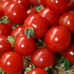Tomato Plant 'Sweet Apertif' A close-up, slightly angled shot of a pile of bright red, round cherry tomatoes. The tomatoes are glossy and appear freshly picked. Some have small, green stems still attached. The tomatoes are nestled together, filling the frame. 1