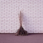 Wild Cherry Hedging  2