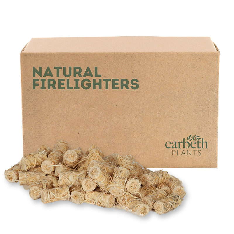 Natural Firelighters  1