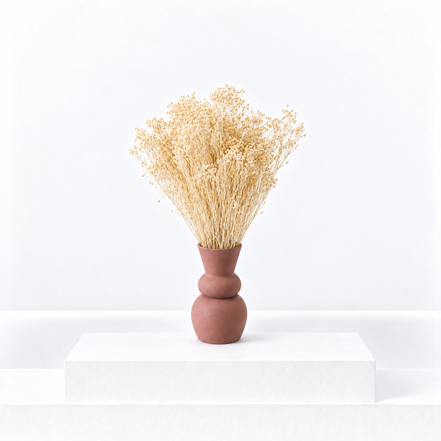 White Bleached Dried Broom Bloom Bunch  1
