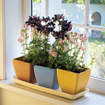 Earth Pots Windowsill Set  1