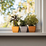 Earth Pots Windowsill Set  2