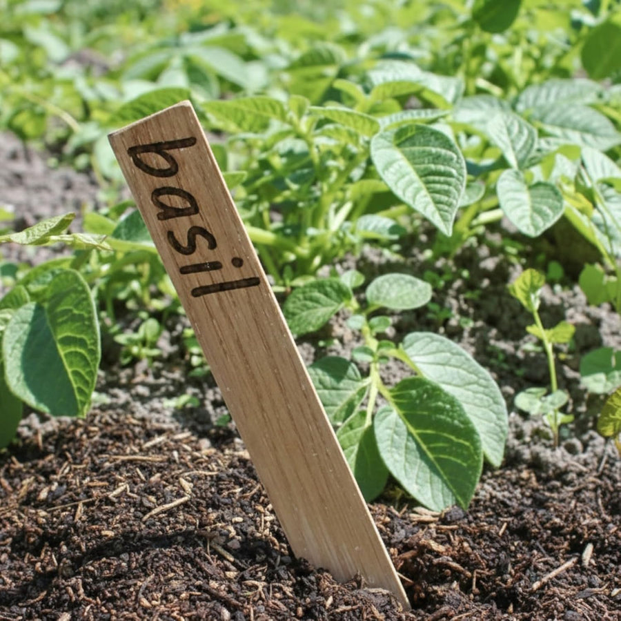 Wooden Plant Labels  1