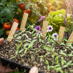Wooden Plant Labels  2