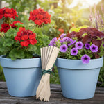 Wooden Plant Labels  3
