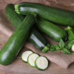 Courgette Ambassador F1 Plant  1