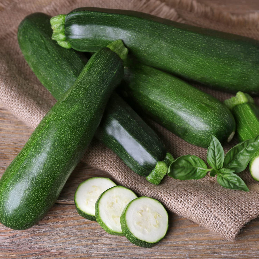 Courgette Ambassador F1 Plant  1