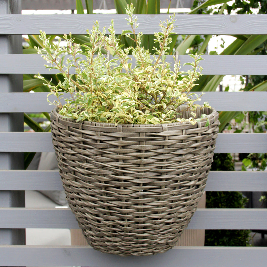 Anthracite Dark Grey Rattan Hanging Planter Anthracite Dark Grey Rattan Hanging Planter image4 4