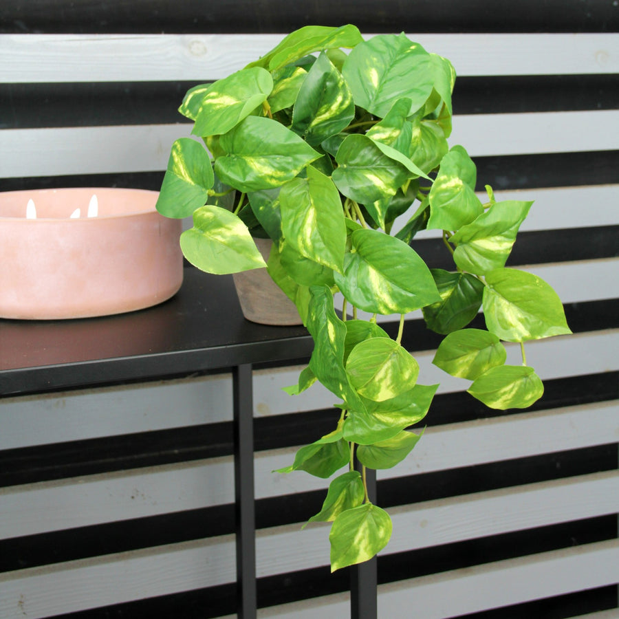 Scindapsus Devil's Ivy Artificial Plant artificaldevilsivysetphoto 1