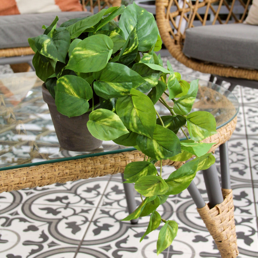 Scindapsus Devil's Ivy Artificial Plant artificaldevilsivysetphoto2 3
