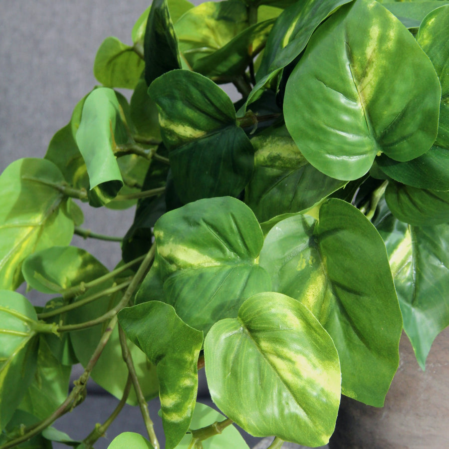 Scindapsus Devil's Ivy Artificial Plant artificaldevilsivysetphoto3 5