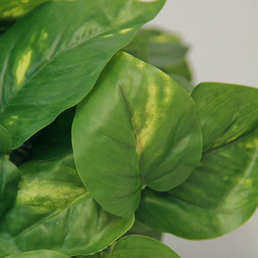 Scindapsus Devil's Ivy Artificial Plant artificaldevilsivysetphoto4 4