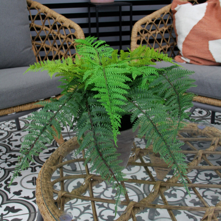 Dryopteris Affinis Artificial Fern Dryopteris Affinis Artificial Fern image4 4