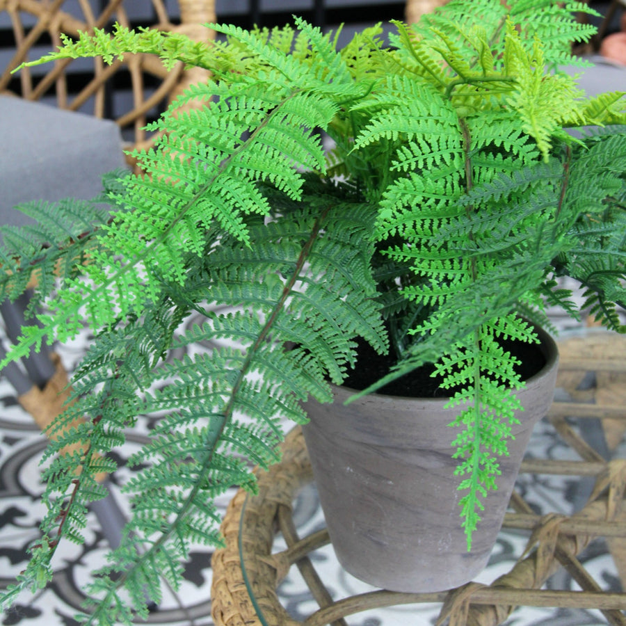 Dryopteris Affinis Artificial Fern Dryopteris Affinis Artificial Fern image3 1