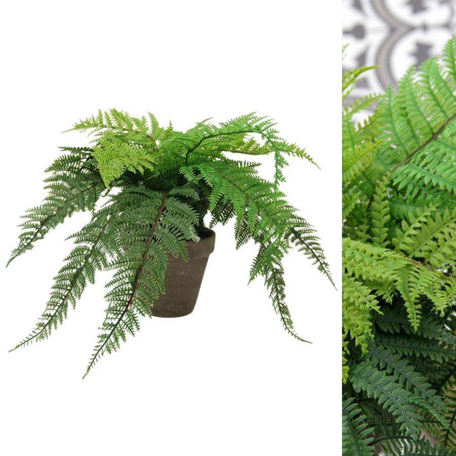 Dryopteris Affinis Artificial Fern Dryopteris Affinis Artificial Fern image1 2