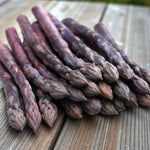 Asparagus Crowns Mixed Varieties A neat pile of freshly cut purple asparagus spears arranged on a wooden surface, showcasing their deep violet colour and tightly closed tips. 7