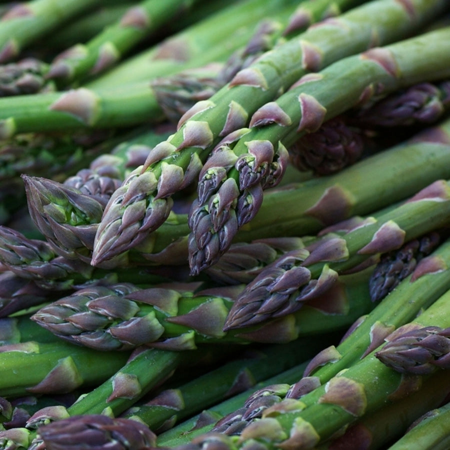 Asparagus Crowns Mixed Varieties A close-up pile of green asparagus spears with purple-tinged tips, showing their fresh, firm texture. 4