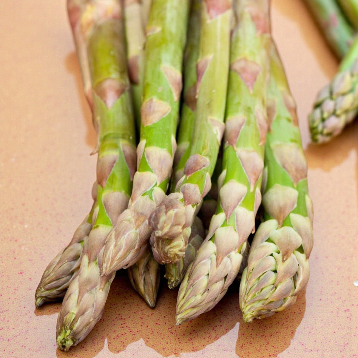Asparagus Crowns Mixed Varieties A close-up bundle of green asparagus spears with purple-tinged tips on a wet surface, highlighting their fresh, tender texture. 8