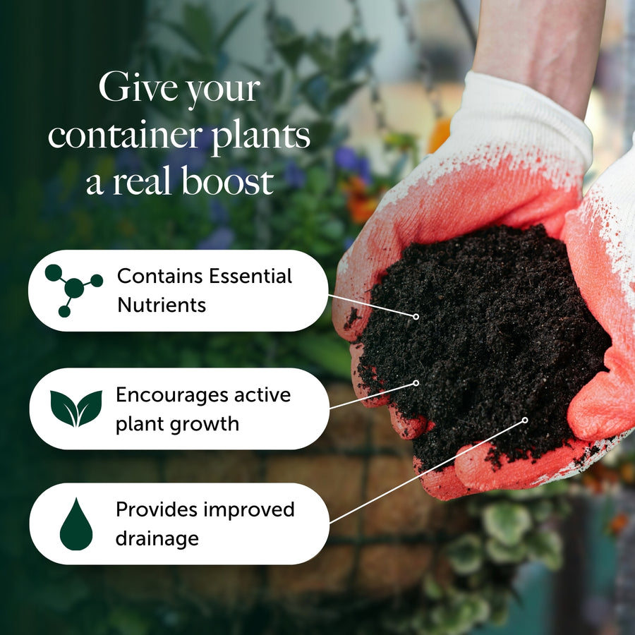 Container & Hanging Basket Compost With 9 Months Feed - Water Less Formula  3