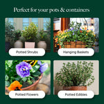 Container & Hanging Basket Compost With 9 Months Feed - Water Less Formula  5