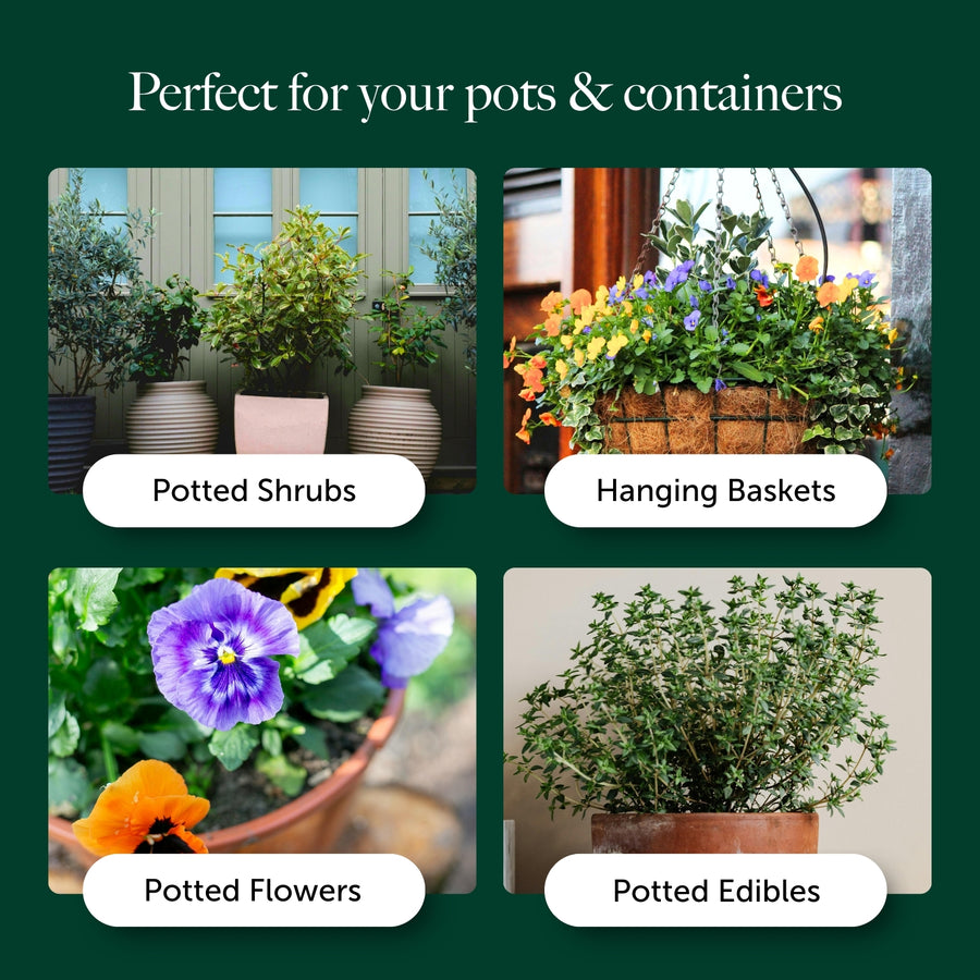 Container & Hanging Basket Compost With 9 Months Feed - Water Less Formula  5