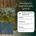 Container & Hanging Basket Compost With 9 Months Feed - Water Less Formula  6